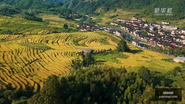 小米电竞手,机性能升级,电竞游戏体,百家乐外挂软件官网,百家乐外挂软件下载,百家乐外挂软件App,百家乐外挂软件网页版,百家乐外挂软件入口